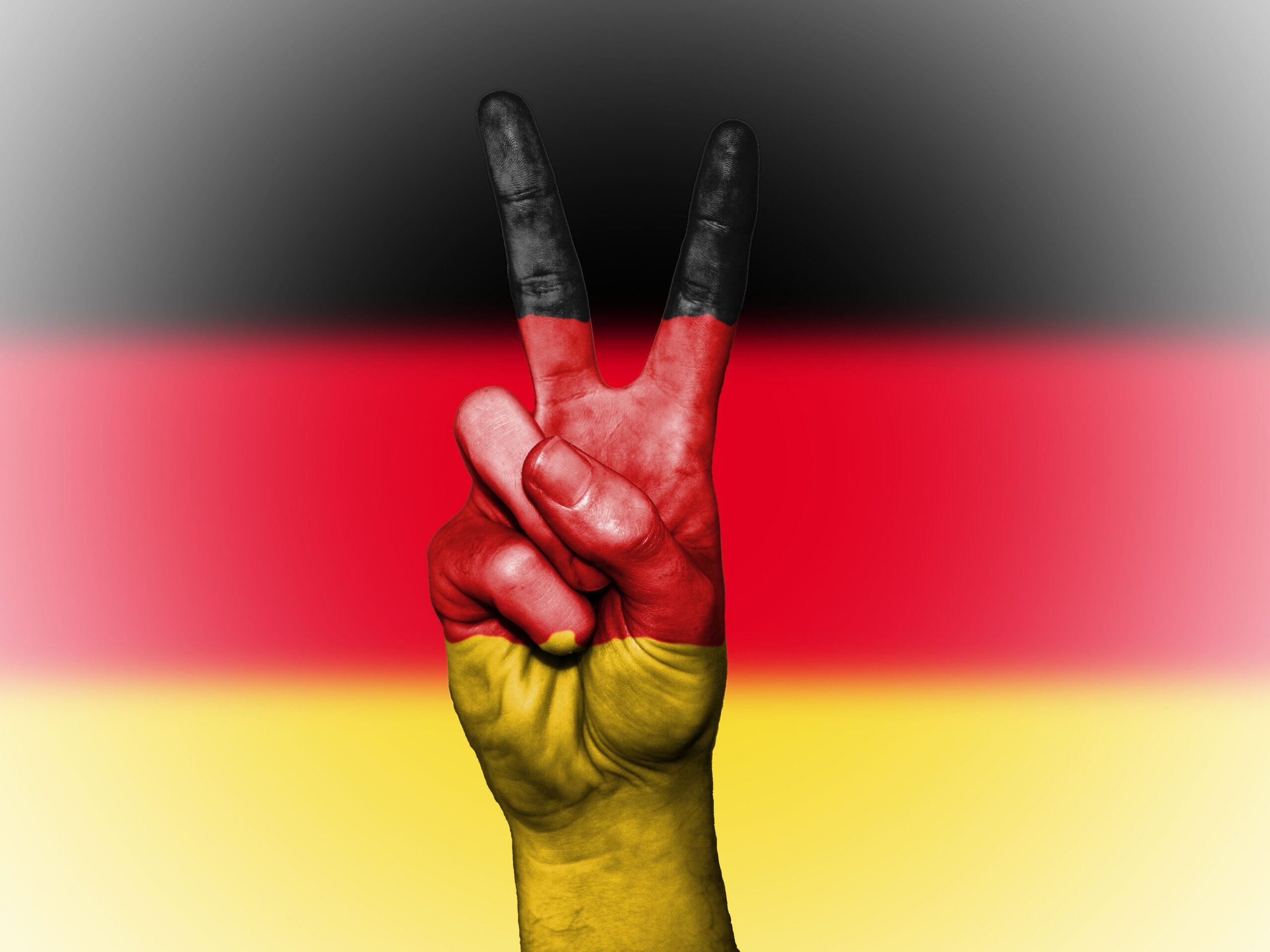 Die wehrhafte Demokratie: Deutschlands politisches System und seine Feinde